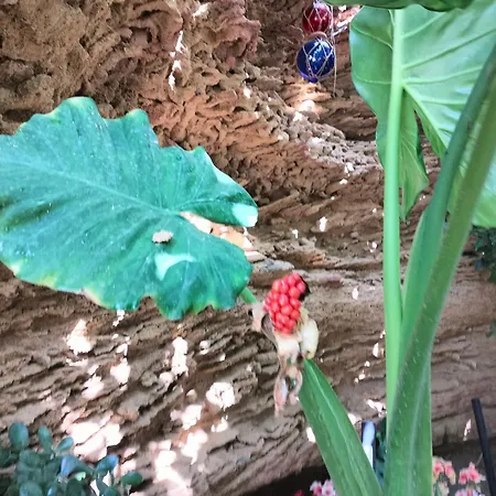 Kemping Surf House Playa