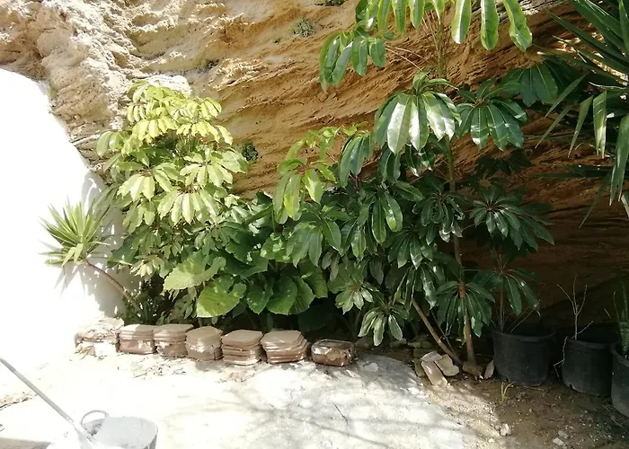 Kemping Surf House Playa