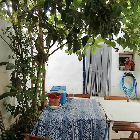 Surf House Playa 科尼尔-德拉弗龙特拉