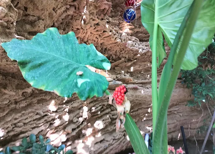 Кемпинг Surf House Playa